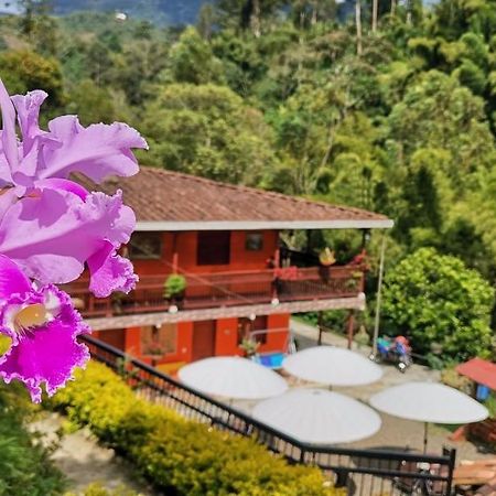 Hotel Orillas Del Pizano Jardin Ngoại thất bức ảnh
