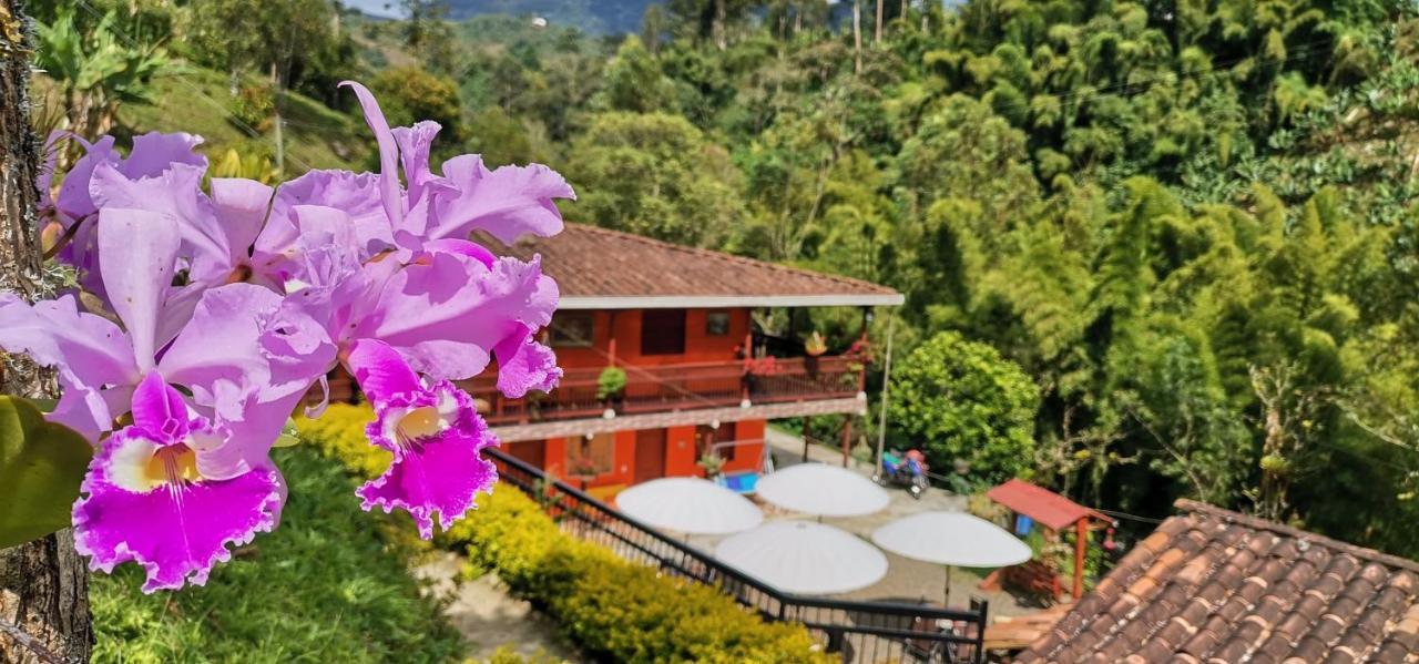 Hotel Orillas Del Pizano Jardin Ngoại thất bức ảnh