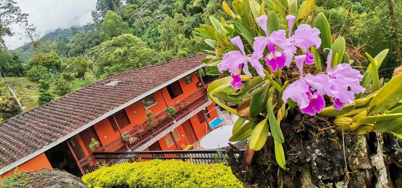 Hotel Orillas Del Pizano Jardin Ngoại thất bức ảnh