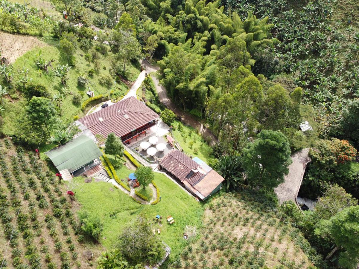 Hotel Orillas Del Pizano Jardin Ngoại thất bức ảnh