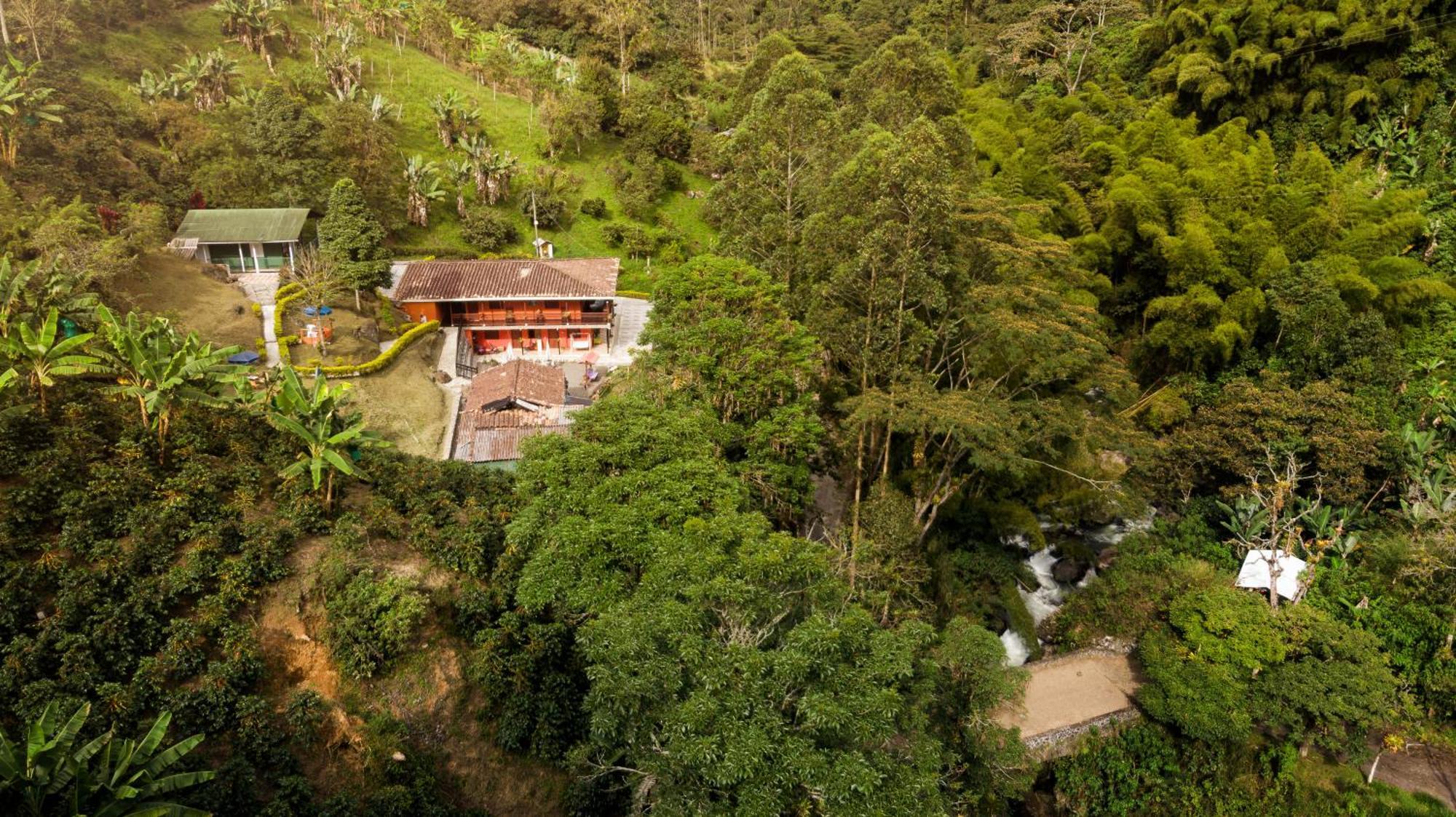 Hotel Orillas Del Pizano Jardin Ngoại thất bức ảnh