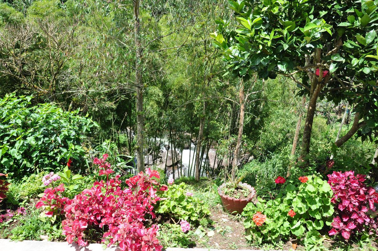 Hotel Orillas Del Pizano Jardin Ngoại thất bức ảnh